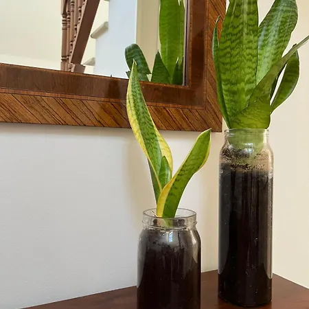 Brisa Vacacional - Adults Only